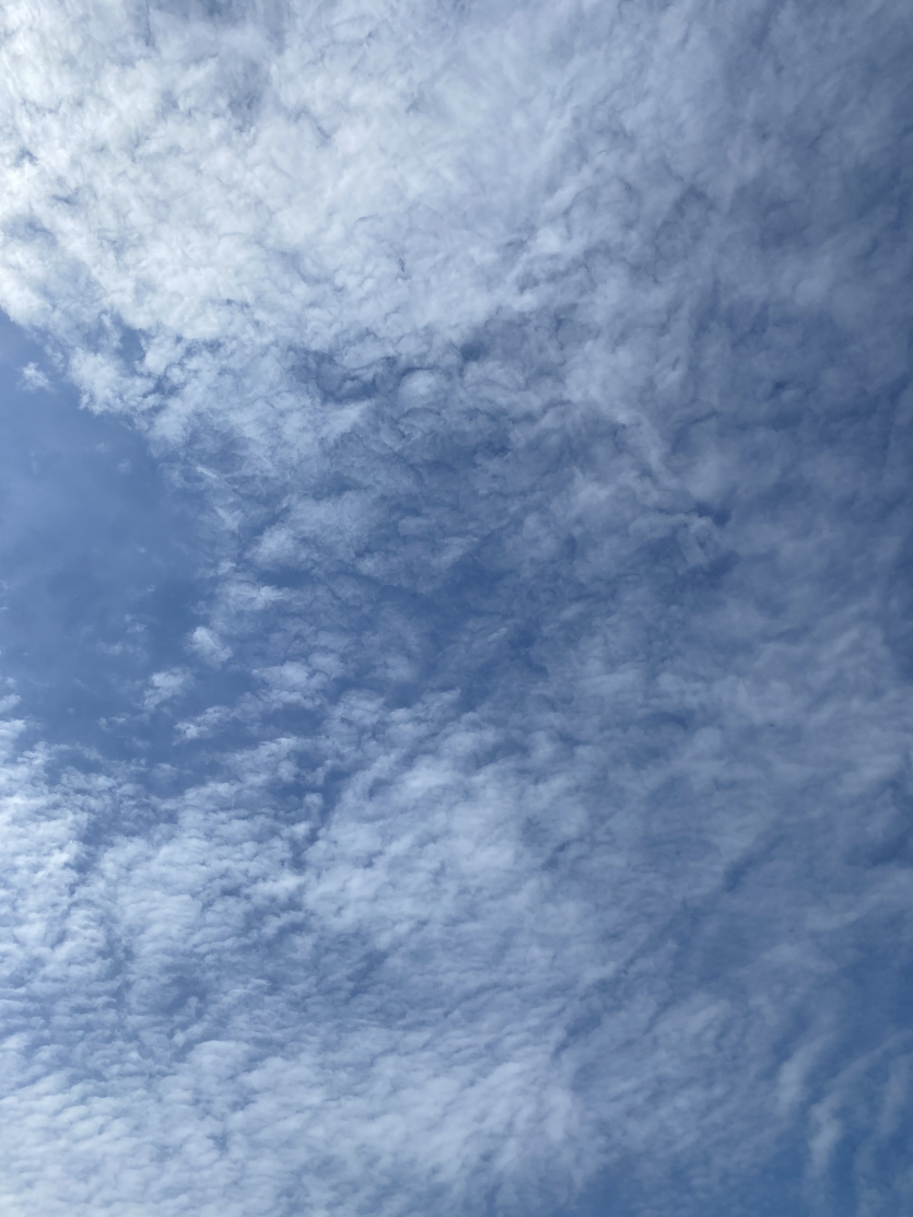 하늘이-맑고-날씨-좋아요