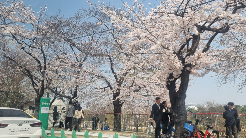 날씨 너무 좋네요