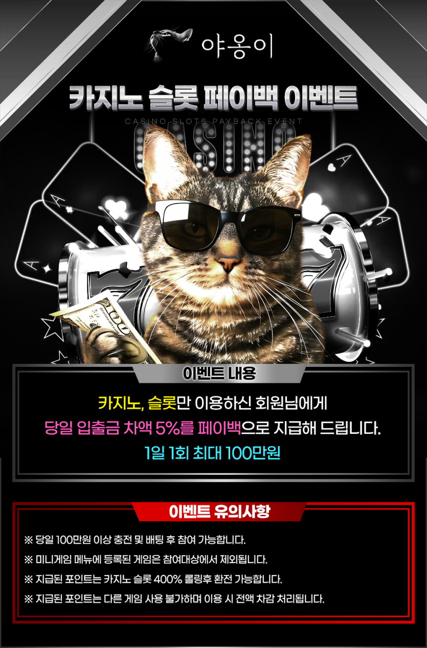 야옹이-카지노-슬롯-페이백-이벤트